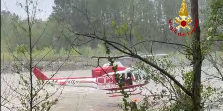 Caselle Torinese: Salvato un cane | Il video