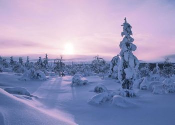 Viaggi di nozze dalla Lapponia all’Egitto