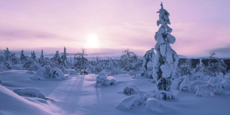 Viaggi di nozze dalla Lapponia all’Egitto