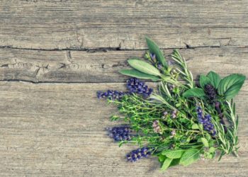 Torna Menta e Rosmarino 10-11 giugno 2023 | Undicesima edizione | Lago d’Orta