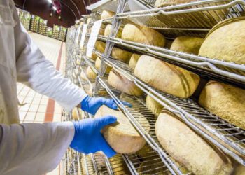 AL VIA IL PROGETTO DI DOS DEDICATO ALLA VALORIZZAZIONE DEI PRODOTTI DOP, IGP E QS SICILIANI