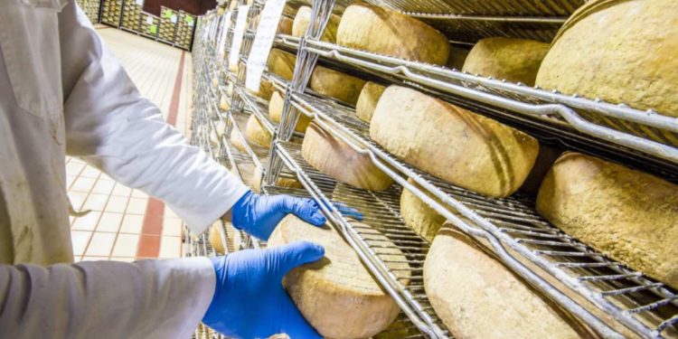 AL VIA IL PROGETTO DI DOS DEDICATO ALLA VALORIZZAZIONE DEI PRODOTTI DOP, IGP E QS SICILIANI