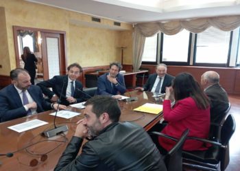 Petitto: intesa con Coldiretti., sostegno alla aziende delle aree interne irpine