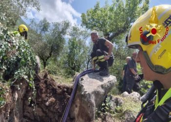 Soccorso un cavallo in provincia di Latina | Il video