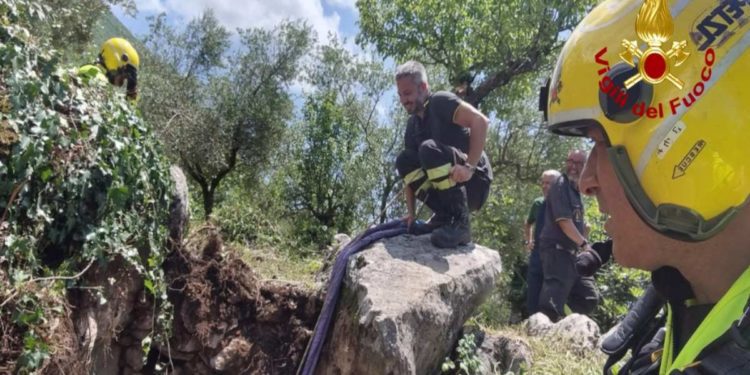 Soccorso un cavallo in provincia di Latina | Il video