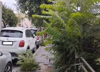 FORIO, VIA CAVA CAMPO A MONTERONE ABBANDONATA TRA ERBACCE, SPORCIZIA, TOPACCI E DISSESTO STRADALE