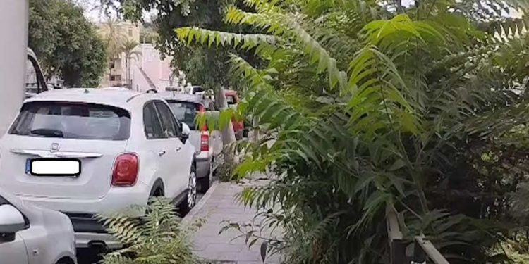 FORIO, VIA CAVA CAMPO A MONTERONE ABBANDONATA TRA ERBACCE, SPORCIZIA, TOPACCI E DISSESTO STRADALE