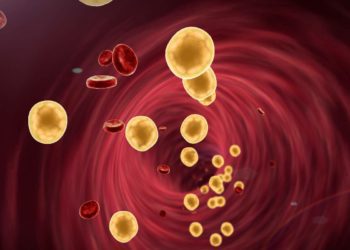 Global Heart Hub annuncia il lancio di una nuova ricerca condotta dai pazienti per centrare l’attenzione sui livelli di colesterolo non sani