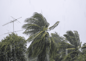 Protezione civile Campania:  Allerta meteo per vento forte e mare agitato dalle 20 di stasera alle 20 di domani