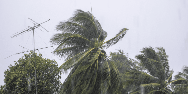 Protezione civile Campania:  Allerta meteo per vento forte e mare agitato dalle 20 di stasera alle 20 di domani