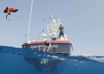 BENI CULTURALI – Relitto di età romana (II-I secolo a.C.) al largo di Pisciotta (Sa)