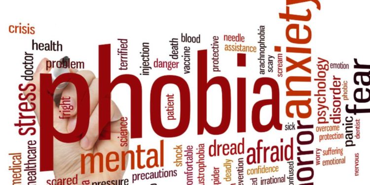 Secondo le ricerche su Google, milioni di italiani lottano con due fobie in particolare.