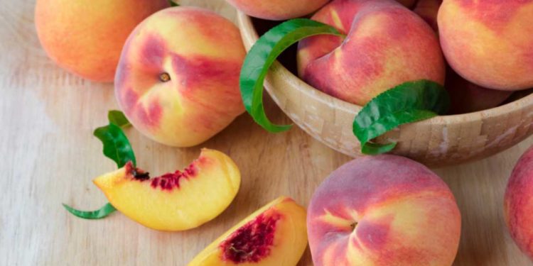 IL PRIMO DI OTTOBRE ALLA SCOPERTA DELLA PESCA DI LEONFORTE IGP