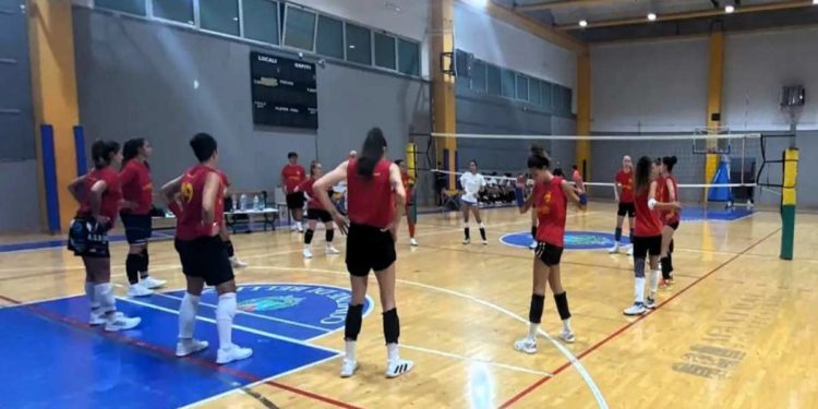 Accademia, prime risposte dal campo