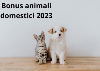Bonus animali domestici 2023, ecco come richiederlo