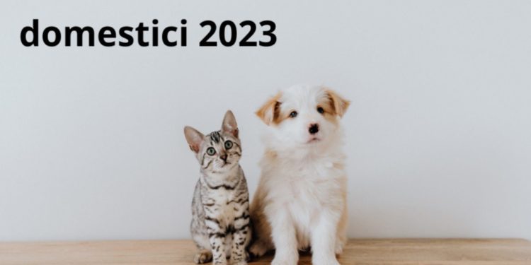 Bonus animali domestici 2023, ecco come richiederlo