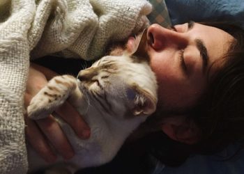 Dormire con il gatto o con il cane fa bene?