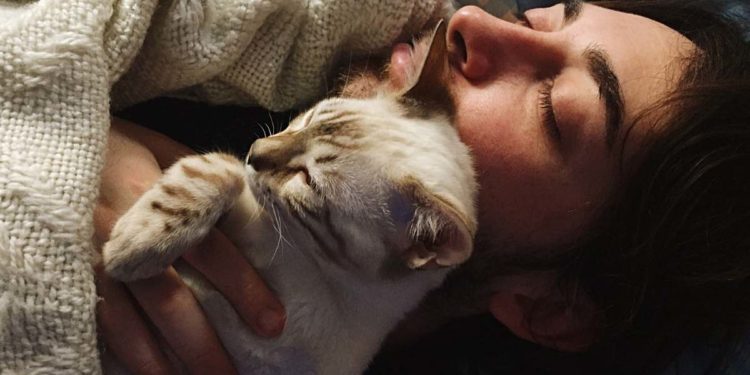 Dormire con il gatto o con il cane fa bene?