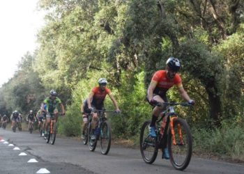 I sedici leoni dell’Endurance