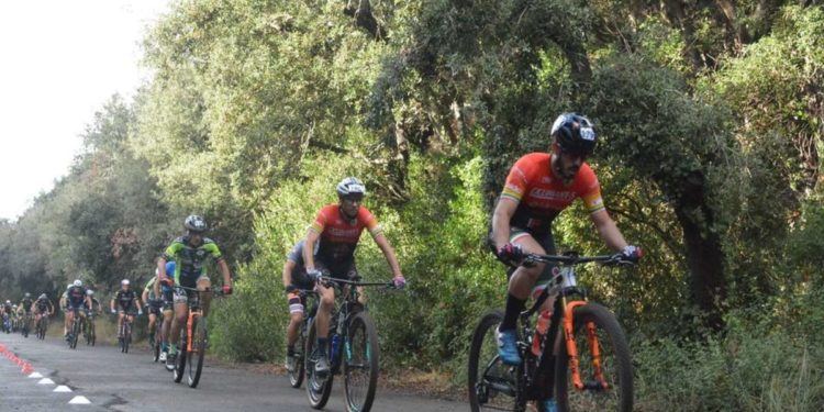 I sedici leoni dell’Endurance