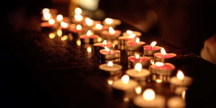 Portogallo, è morto il cane più vecchio del mondo. Aveva 31 anni