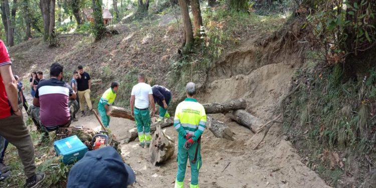 Tutela della montagna, prevenzione incendi e dissesto idrogeologico:  si chiude il Corso di formazione “Introduzione all’Attività di operaio Idraulico-forestale” promosso dall’Osservatorio dell’Appennino Meridionale