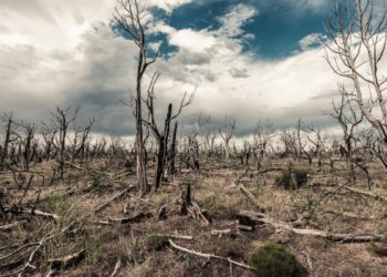 15-17 NOVEMBRE CONGRESSO NAZIONALE ATTUARI A MILANO