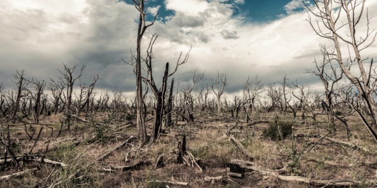 15-17 NOVEMBRE CONGRESSO NAZIONALE ATTUARI A MILANO