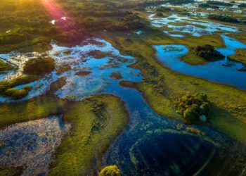 NBFC finanzia con 2 milioni e 550.000 mila euro il primo dottorato di interesse nazionale sulla biodiversità