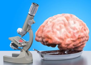 ‘Neurocosmetici’ e il collegamento tra cervello e pelle