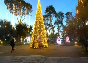 IL NATALE A BACOLI TRA ILLUMINAZIONE FIABESCA, EVENTI, CULTURA E SOLIDARIETA’