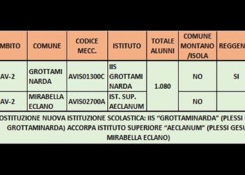Piano scolastico Regione Campania, Petitto solleva il caso Grottaminarda