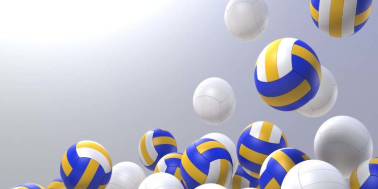 DAL 5 GENNAIO TORNANO I CORSI DI MINIVOLLEY