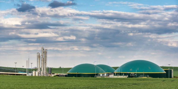 Impianto di biometano in zona vincolata: l’interrogazione di Petitto blocca il progetto a Montecalvo