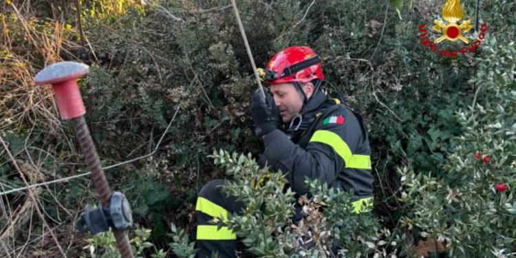 Recuperato un cane scivolato per 16 metri in un pozzo artesiano | Il video