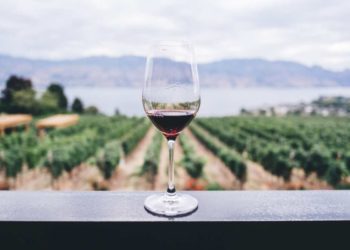 GLI STUDENTI DEL DATINI E DEL SAFFI A SCUOLA DI STORYTELLING DEL VINO ED ENOLOGIA, A SALIRE IN CATTEDRA LE DONNE DEL VINO