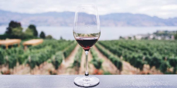 GLI STUDENTI DEL DATINI E DEL SAFFI A SCUOLA DI STORYTELLING DEL VINO ED ENOLOGIA, A SALIRE IN CATTEDRA LE DONNE DEL VINO