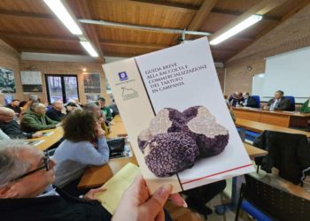 Tartufo in Campania: l’innovativo software per la gestione del comparto dei funghi e dei tartufi realizzato dall’Osservatorio dell’Appennino Meridionale per la Regione Campania