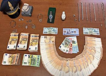 Associazione a delinquere finalizzata all’evasione dell’iva e alla bancarotta fraudolenta