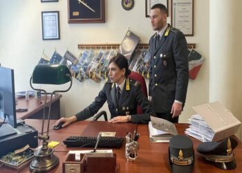 Contributi previdenziali evasi per più di 3 milioni di euro