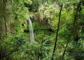 Nature Restoration Law: cosa ne pensa il National Biodiversity Future Center