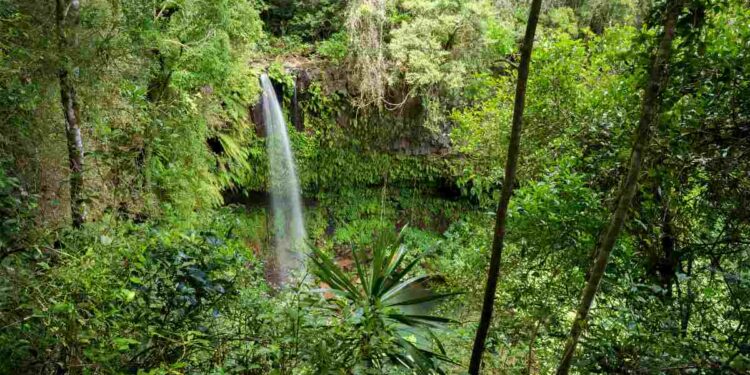 Nature Restoration Law: cosa ne pensa il National Biodiversity Future Center