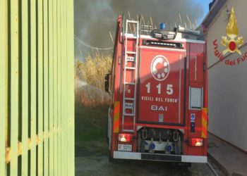 Siracusa: Canneto e alberi ad alto fusto in fiamme | Il video