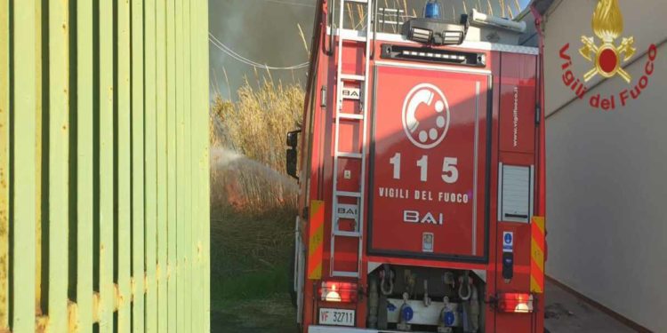 Siracusa: Canneto e alberi ad alto fusto in fiamme | Il video