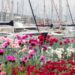 TORNA A GENOVA DAL 17 AL 19 MAGGIO 2024 YACHT & GARDEN: TRE GIORNI DI IMMERSIONE NELLA BELLEZZA DEL VERDE E DEL MARE