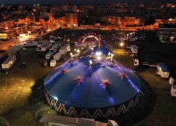 A Torino la prima nazionale 2024 del Circo Paolo Orfei, presenta, “Africa, Il Regno Animale”