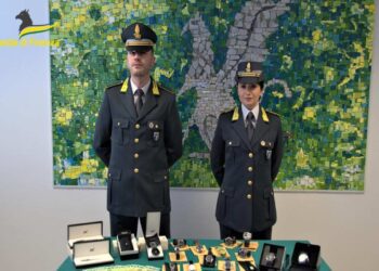 Evade 4 milioni di euro