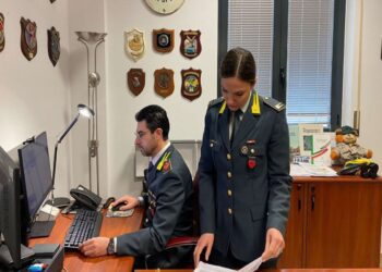 Operazione Castello di carta
