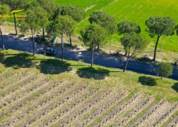 Operazione a tutela della salute dei consumatori