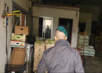 Sequestrate oltre 15 tonnellate di derrate alimentari
